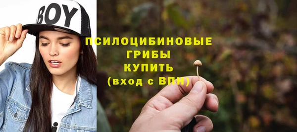 гашик Беломорск