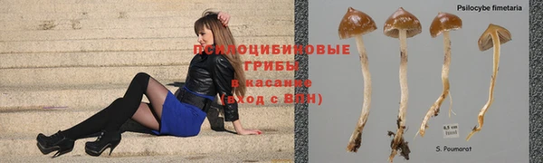 гашиш Белокуриха