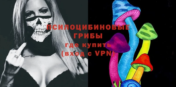 гашик Беломорск