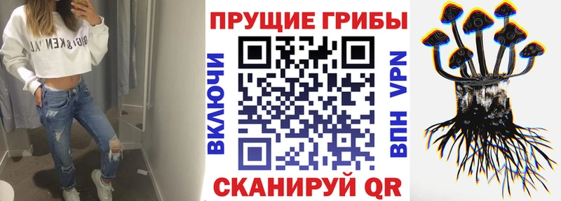 цены наркотик  Михайлов  Галлюциногенные грибы GOLDEN TEACHER 